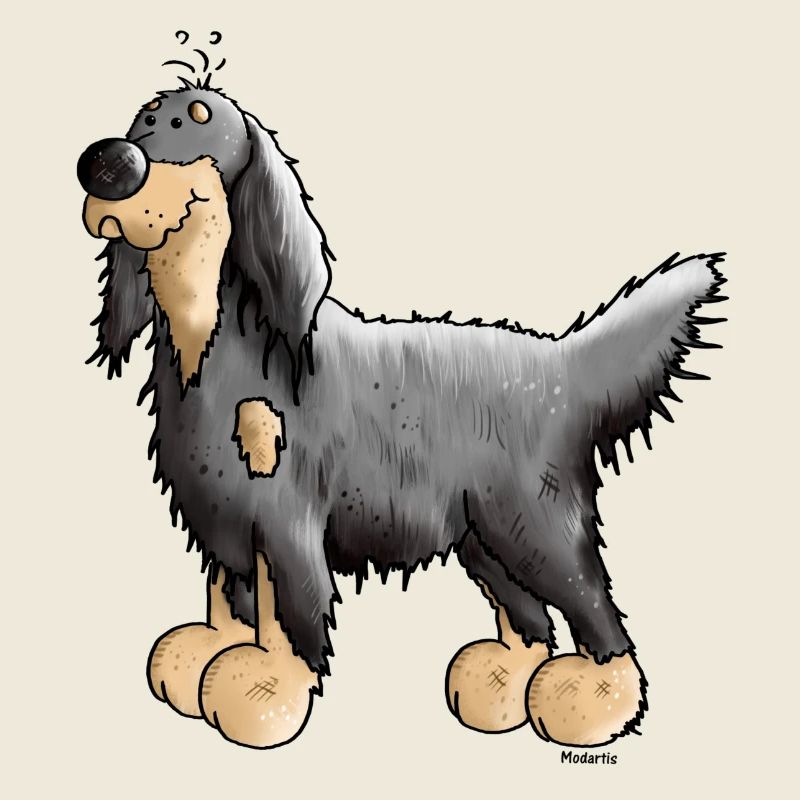 Knuffiger Gordon Setter - Hund