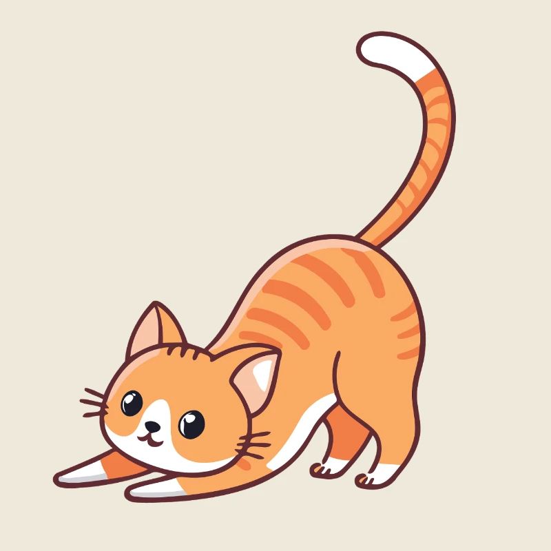 Orange kitten stretching