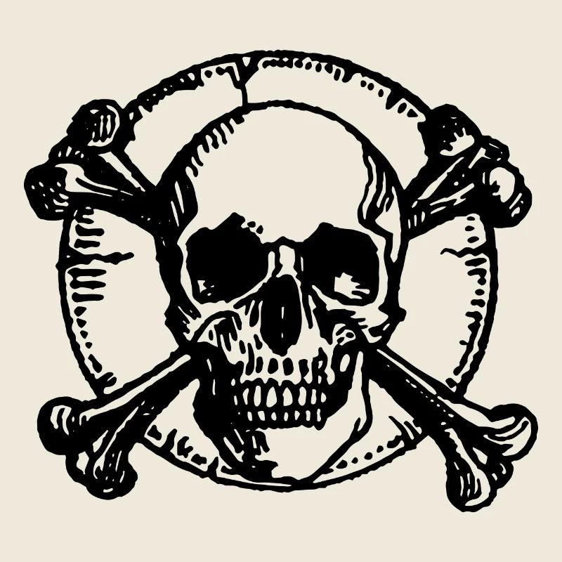 Skull Pirate