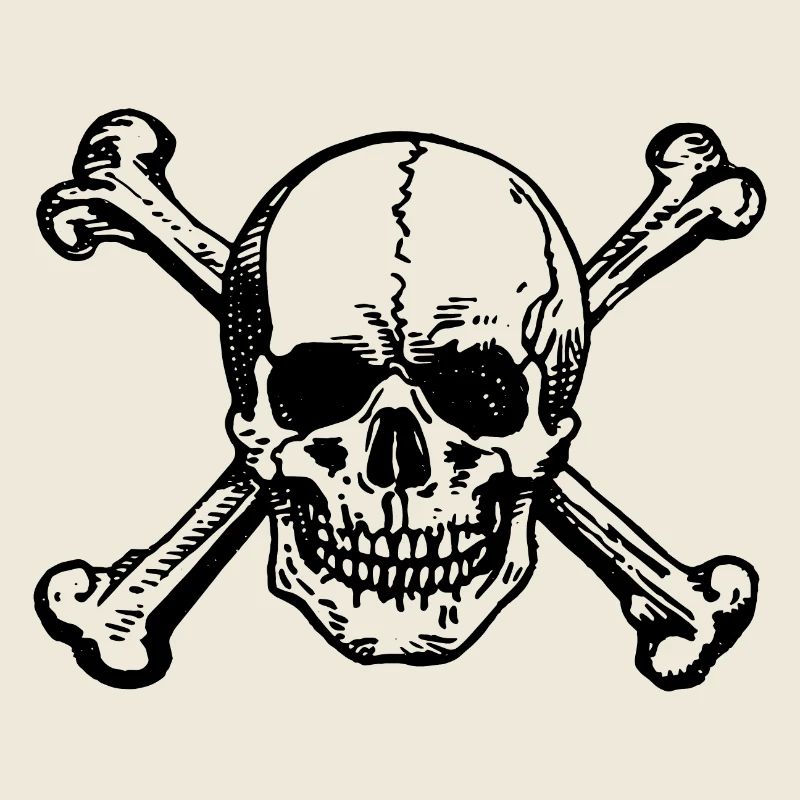 Skull Pirate