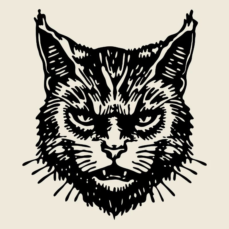 Chats, Dame aux chats, Amoureux des chats, Visage de chat