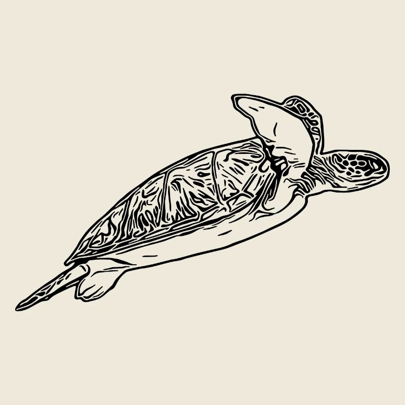 Elegant vintage turtle