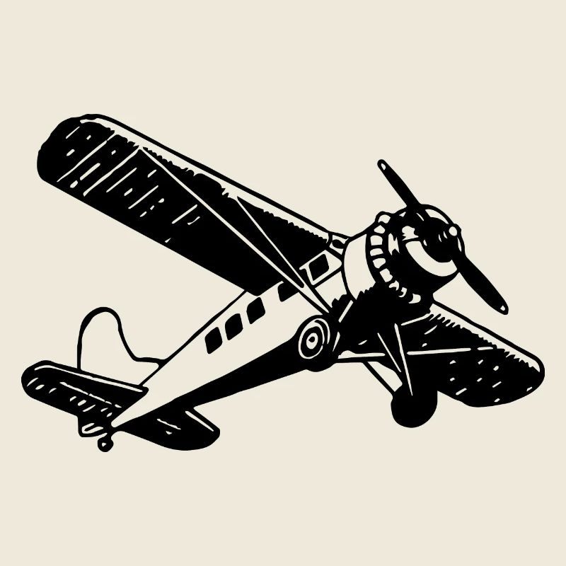 Flugzeug Pilot Flugplatz Flugsport