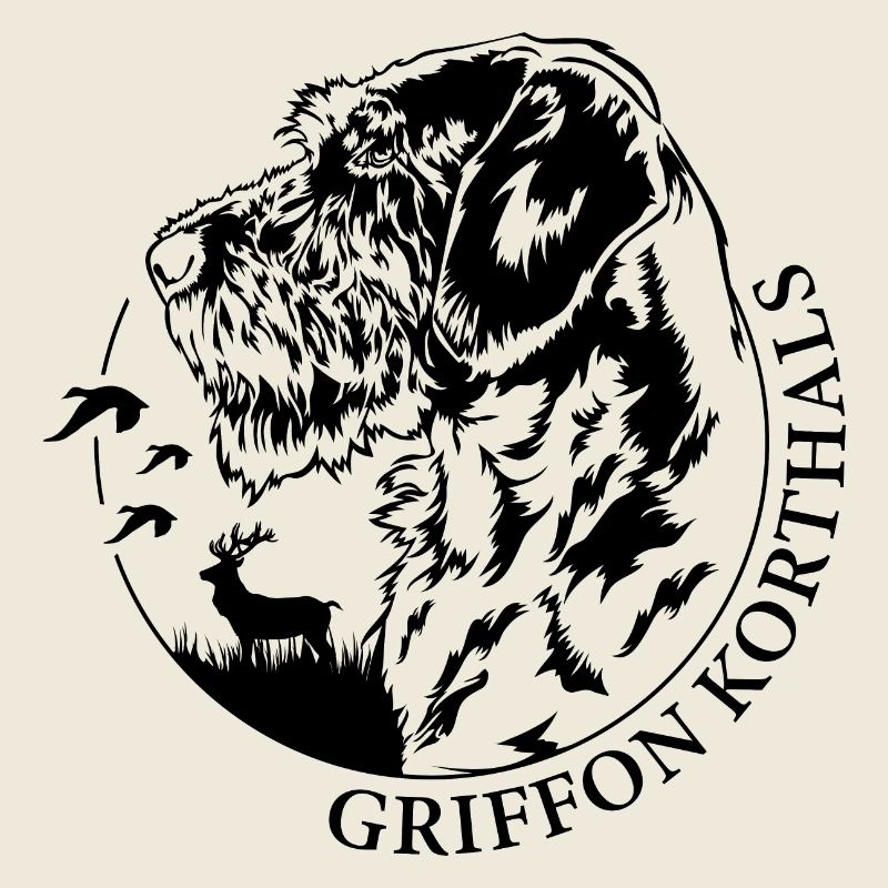 Griffon Korthals Portrait Chiens Chien Wilsigns