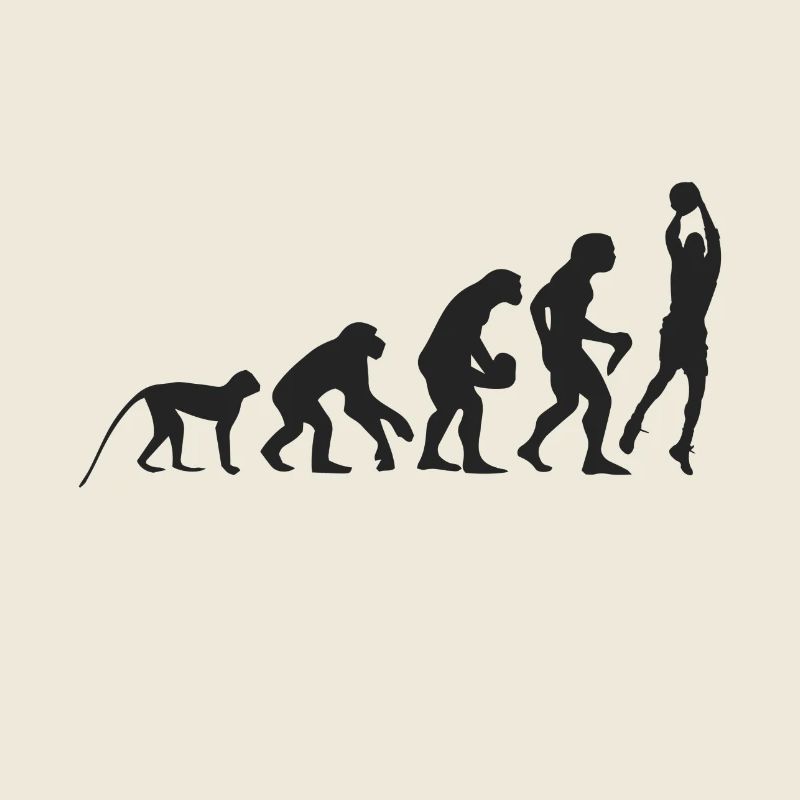 Evolution Basketball
