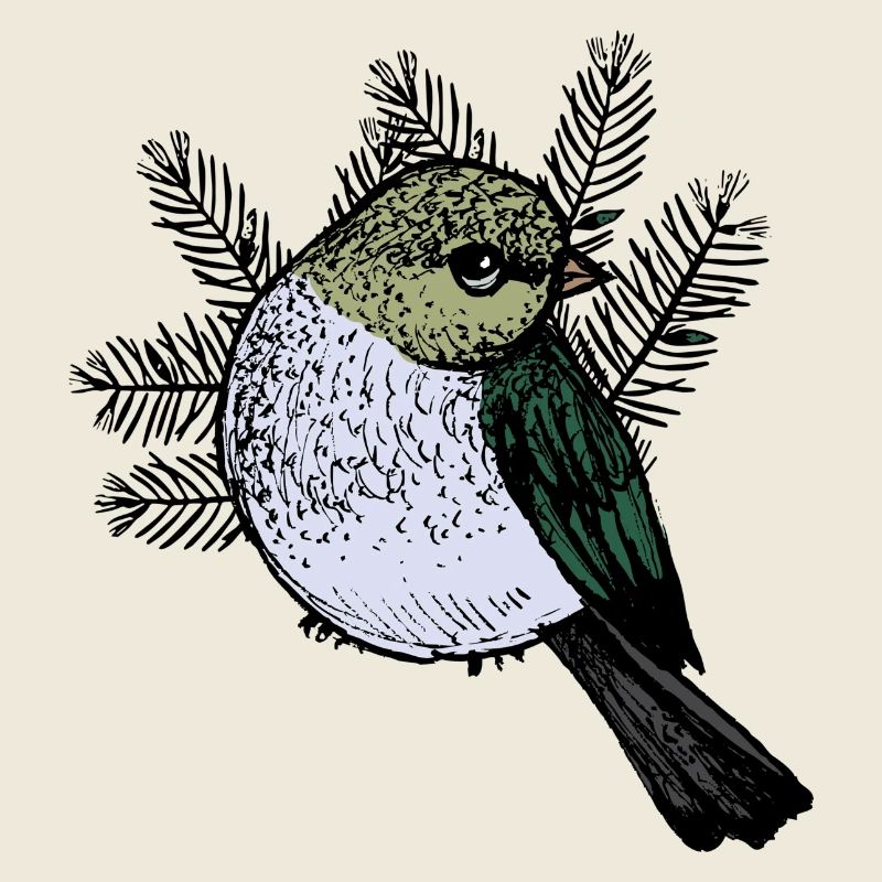 Dessin d’oiseaux avec des branches de sapin