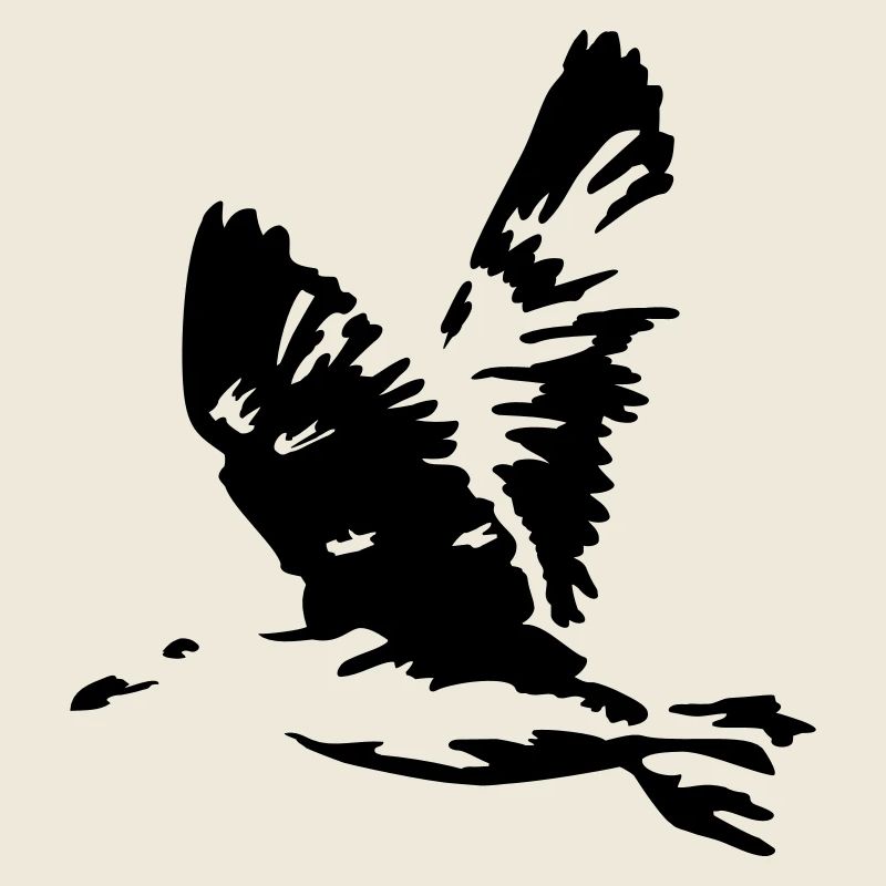 seagull