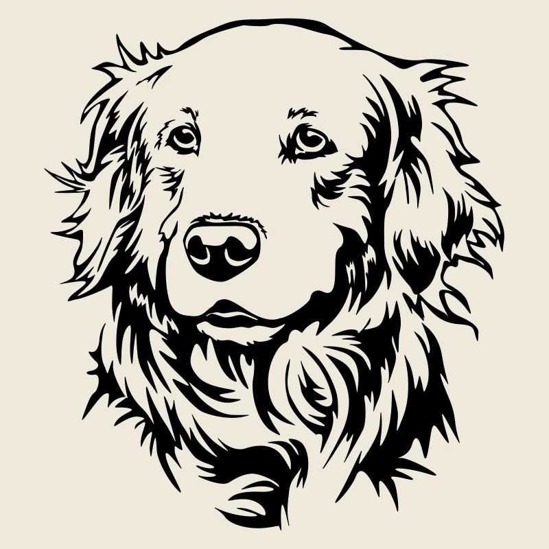Golden Retriever Kopf