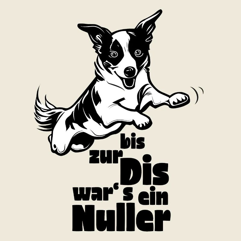 Nuller Agility
