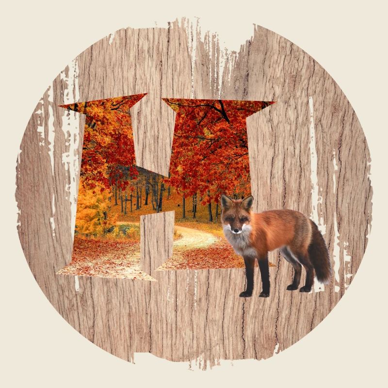 h autumn forest with fox