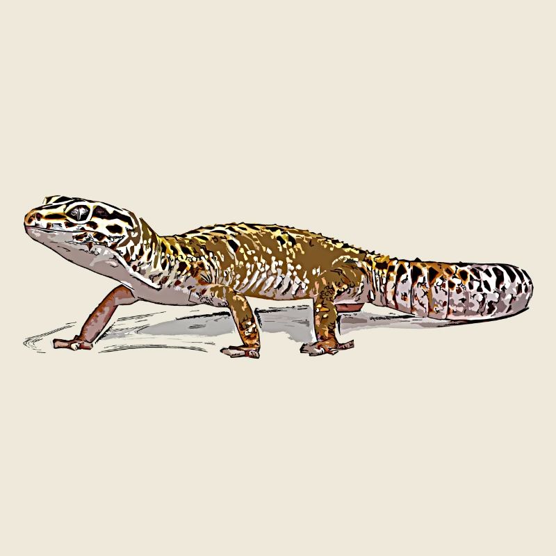 Gecko léopard