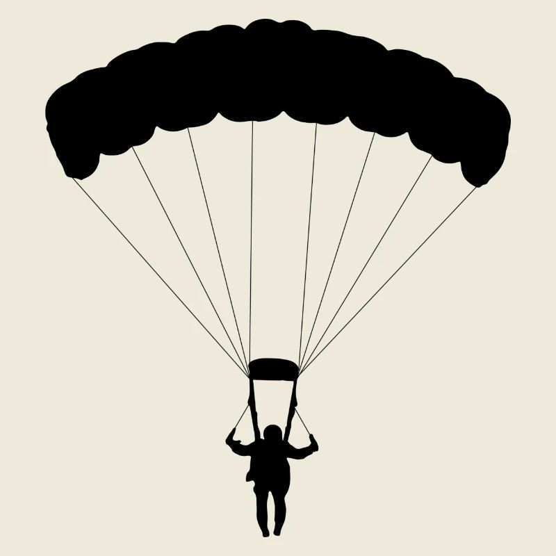 parachute skydiving parachuting skydiver