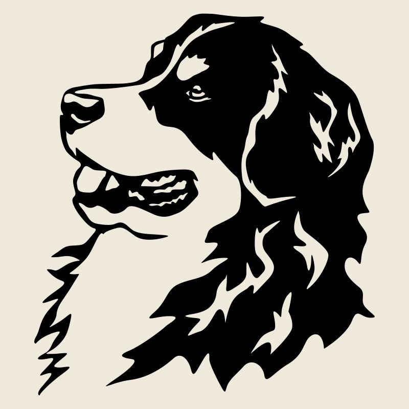 Tête de bouvier bernois