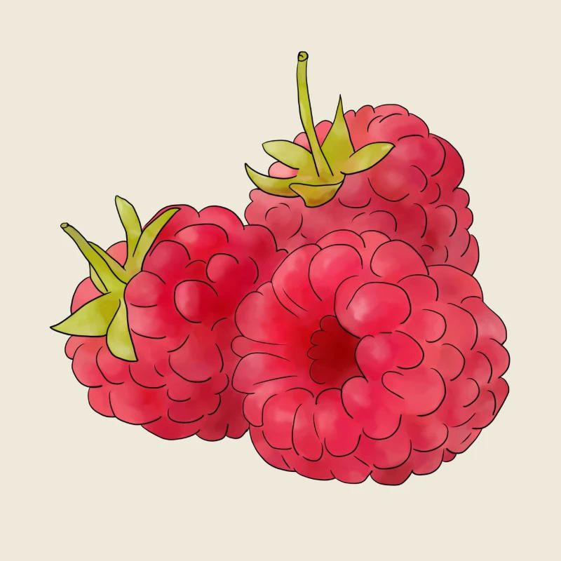 framboises