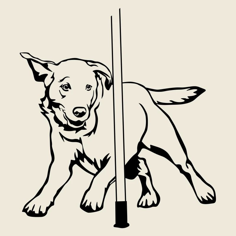 Labrador