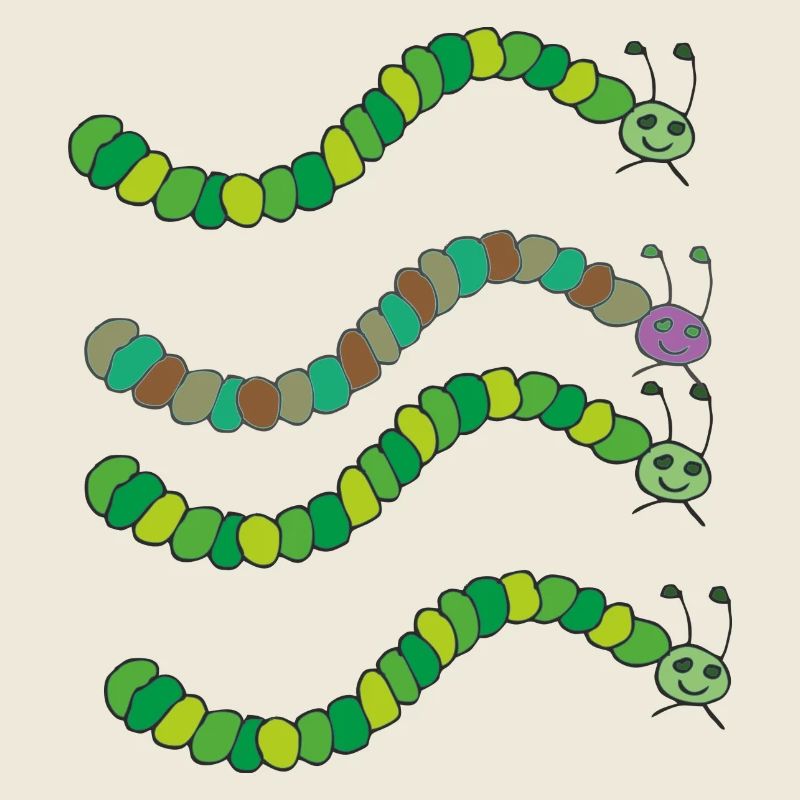 variété de chenille