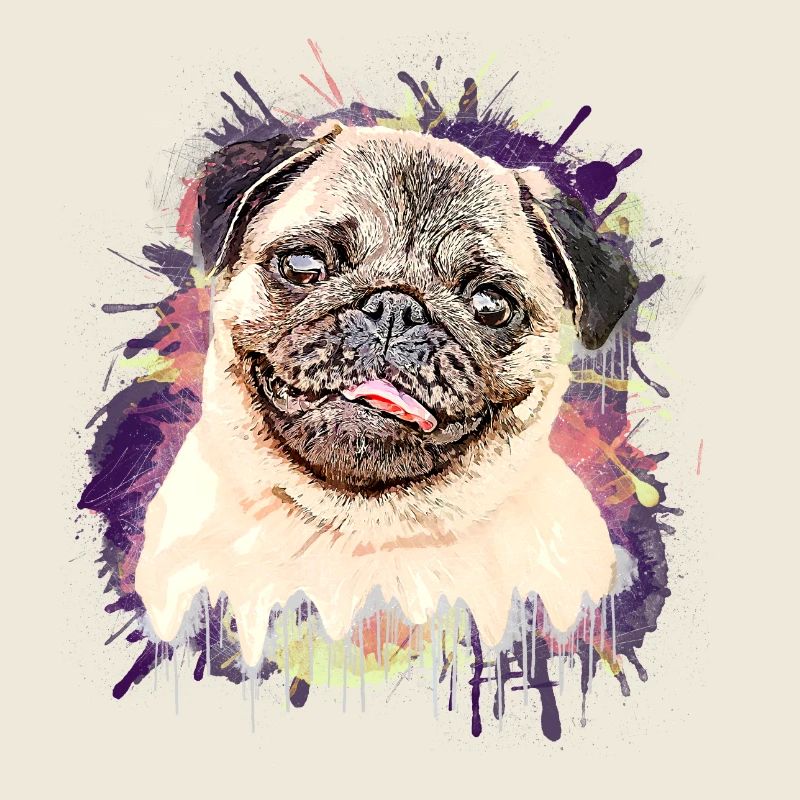 Pug Drawing