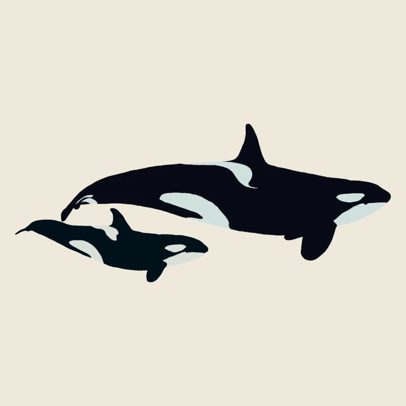 Maman et bébé orques