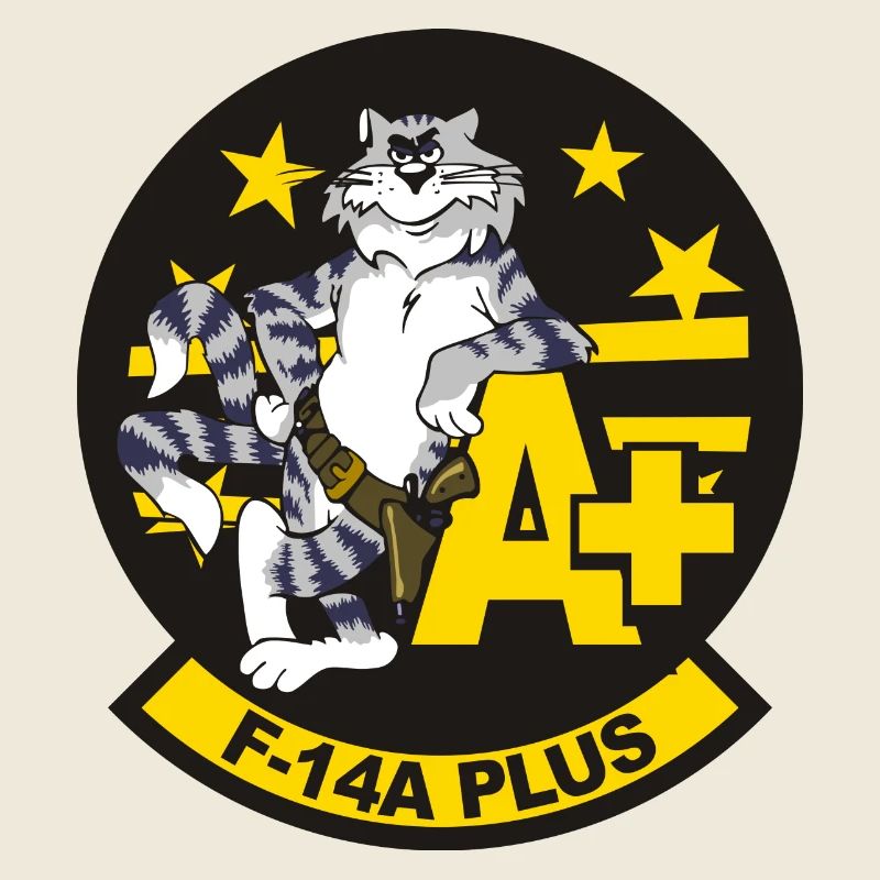 Tomcat F-14A+