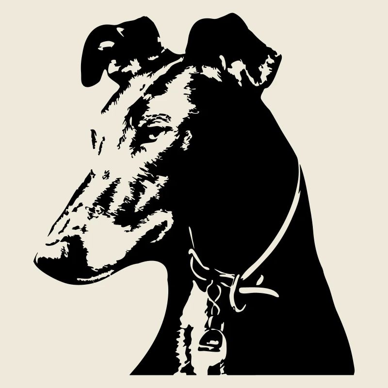 Galgo head