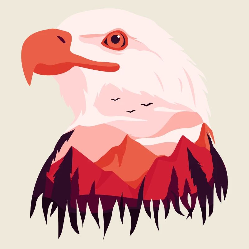 Aigle Pygargue à tête blanche