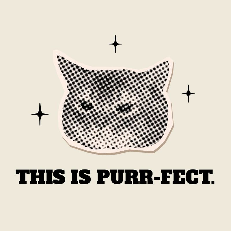 Le Chat Ronron-parfait