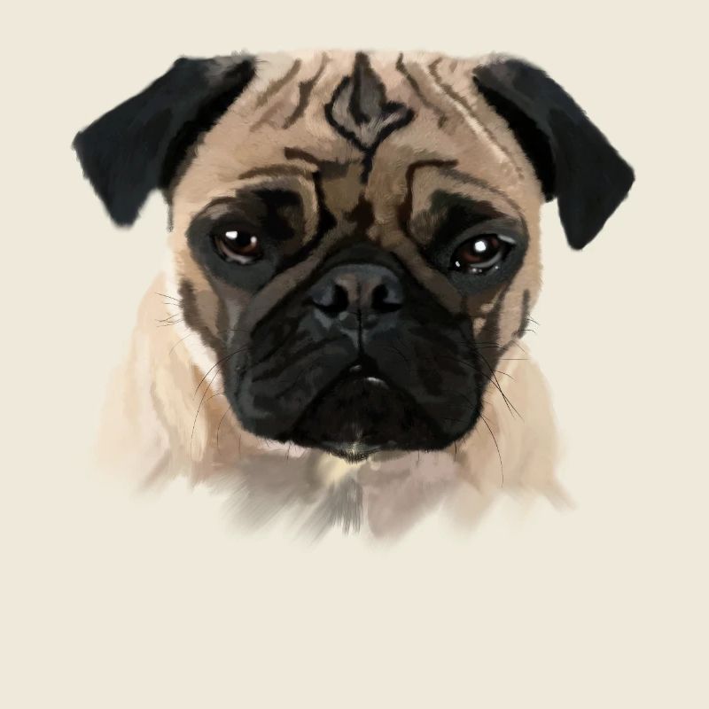 mops