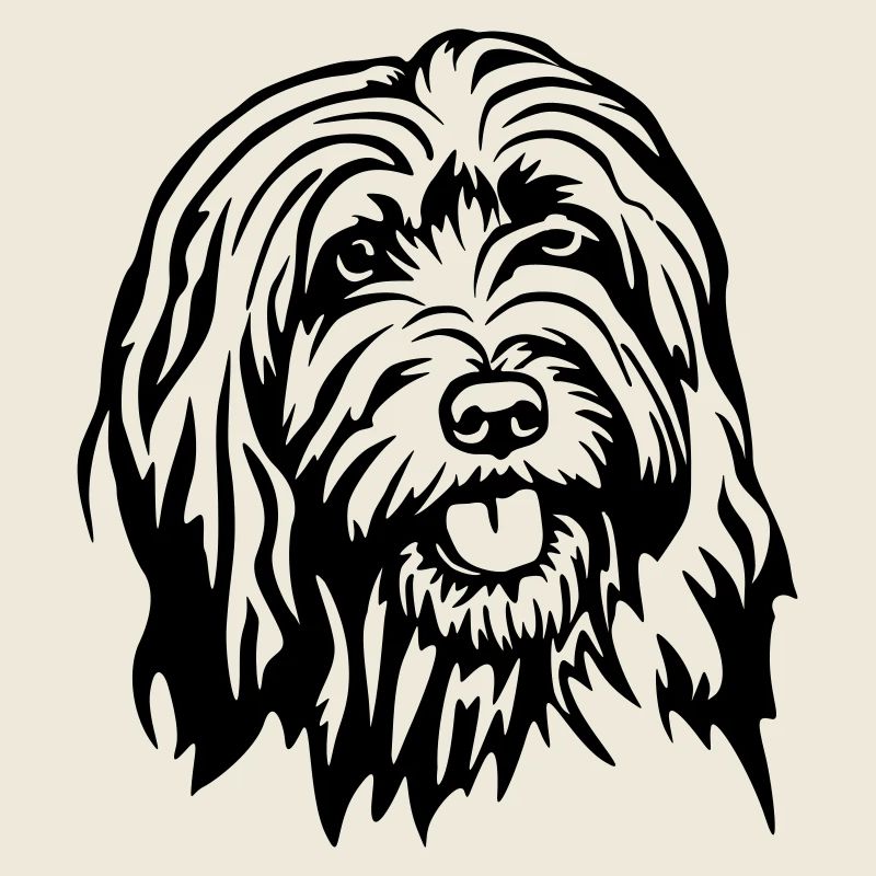 Gos d'atura Catala Kopf