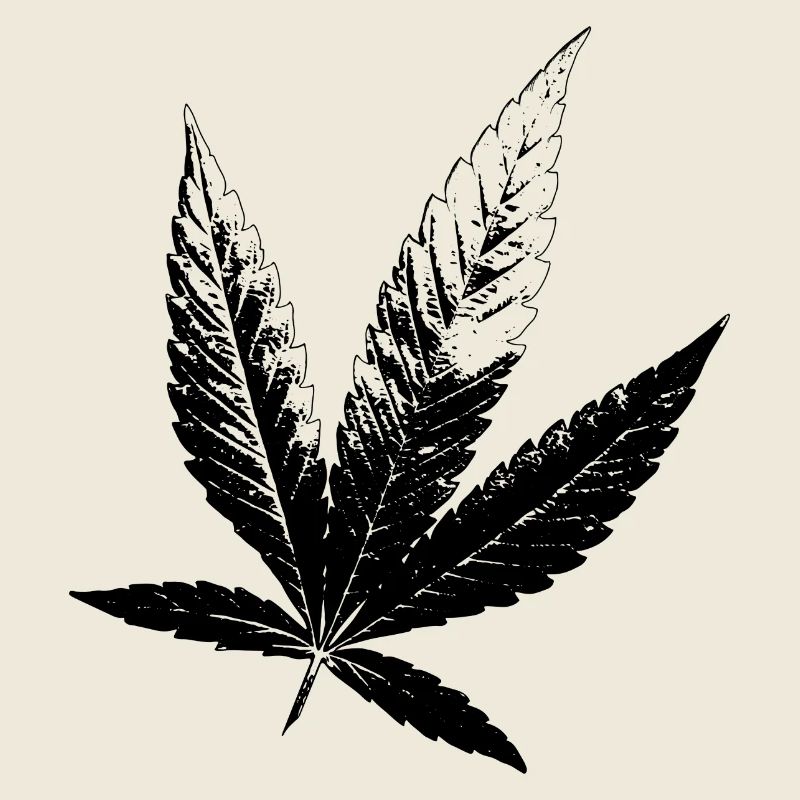 Cannabis Hanf Blatt