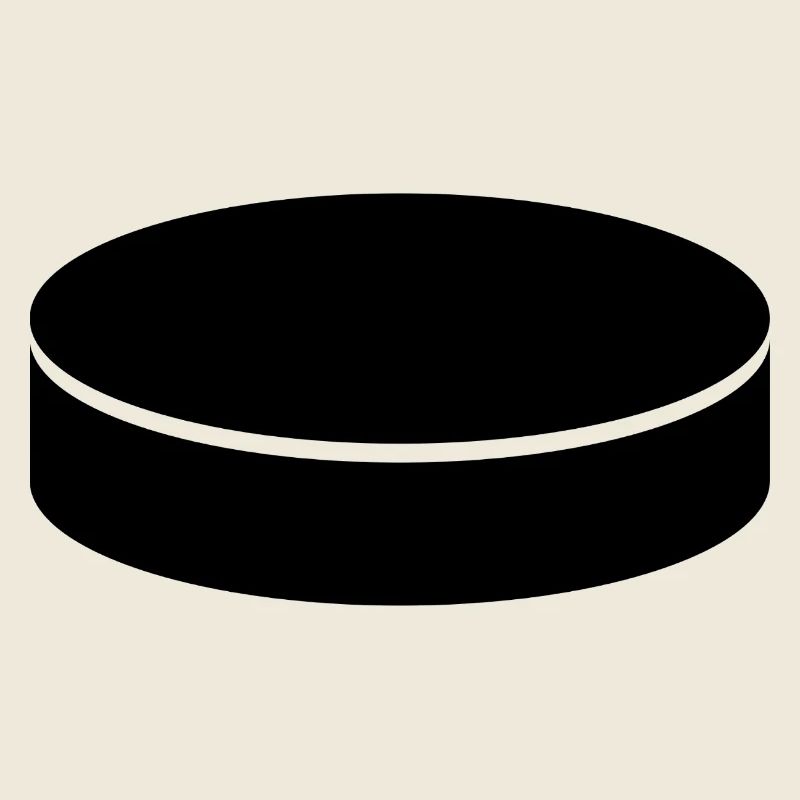Palet de hockey