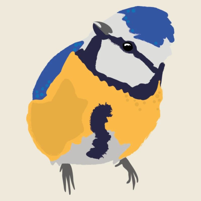 Mésange bleue mésange bleue