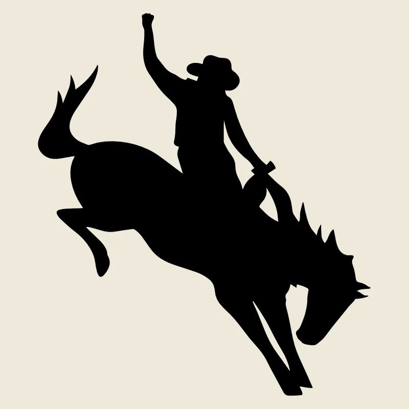 Rodeo Riding on a wild horse