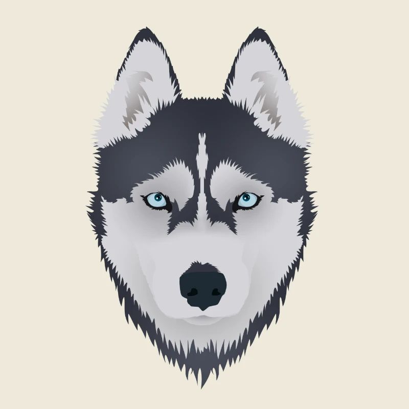 Husky 2
