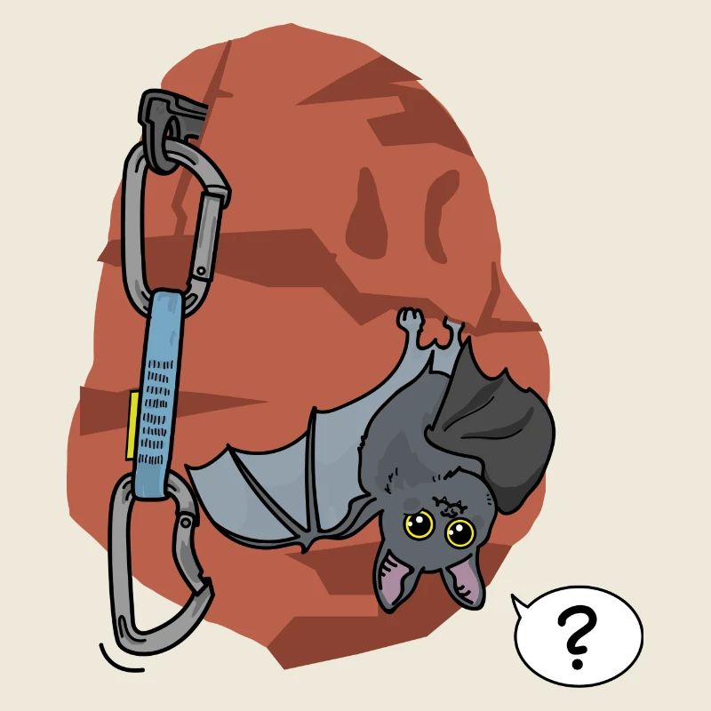 Escalade, Chauve-souris