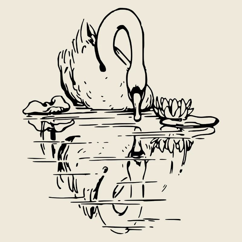 Swan 2