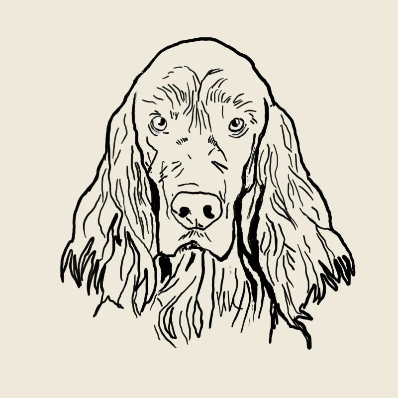 Irish Setter