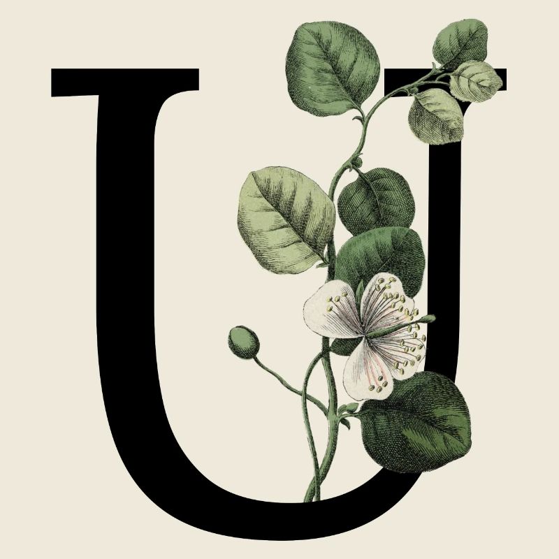 Buchstabe U Grün Botanisch