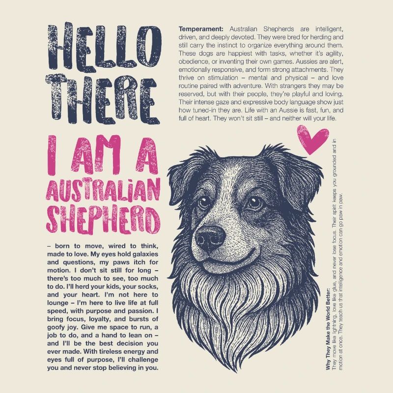 Australian Shepherd – Smart, Fast & Beautiful