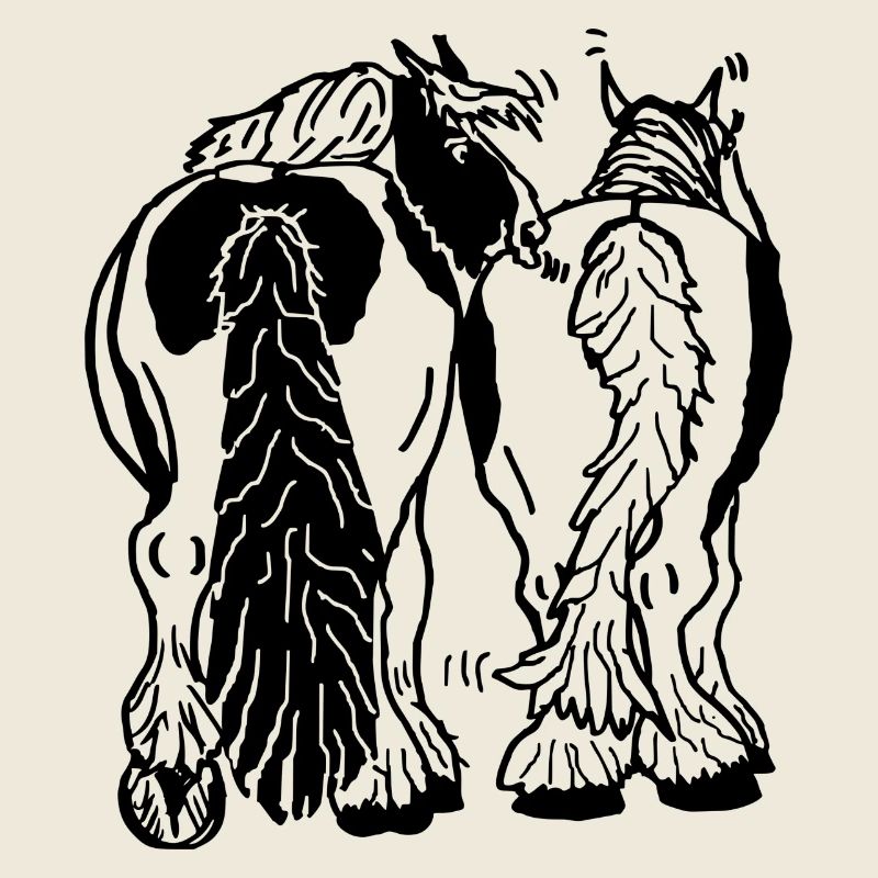 Drôle de bricoleur de derrière, à cheval
