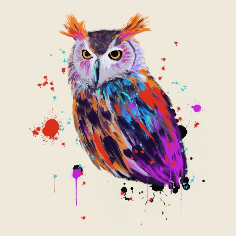 Owl Watercolor