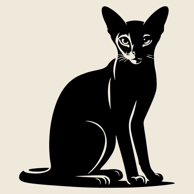 Abyssinian Cat