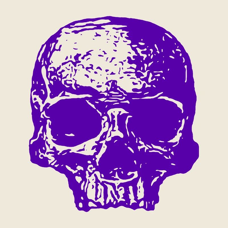 Crâne violet