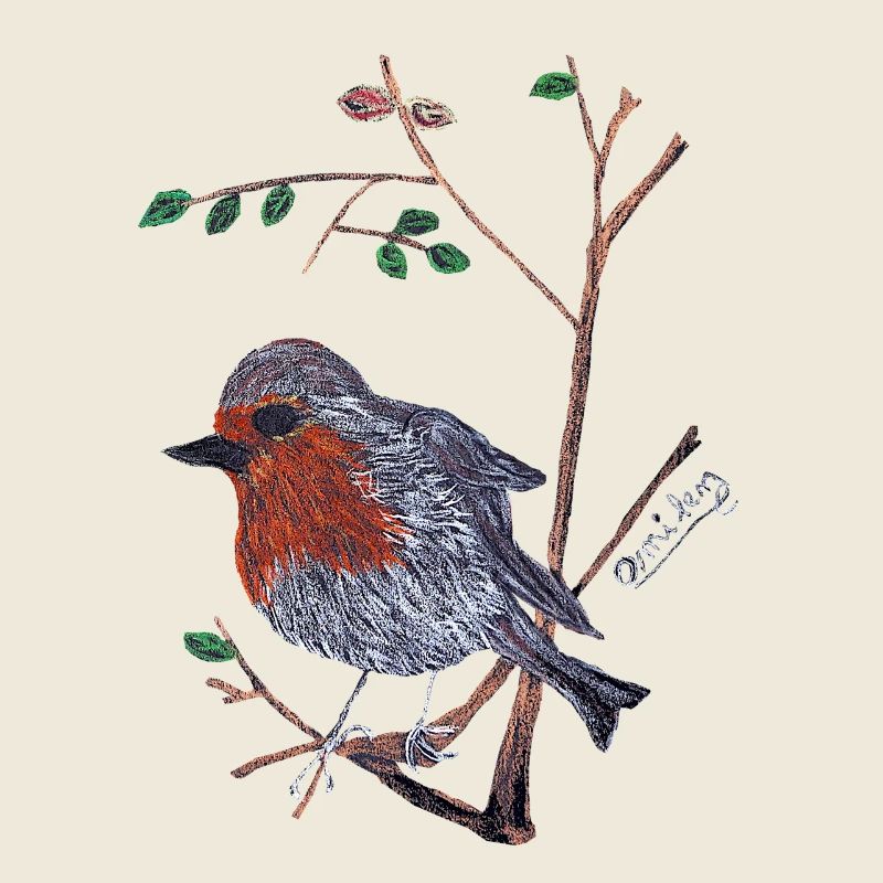 Ein charismatischer Robin