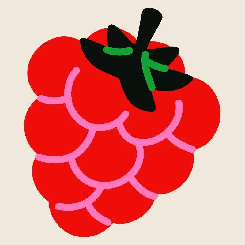 Raspberry Fruit Shirt Minimal Berry Design