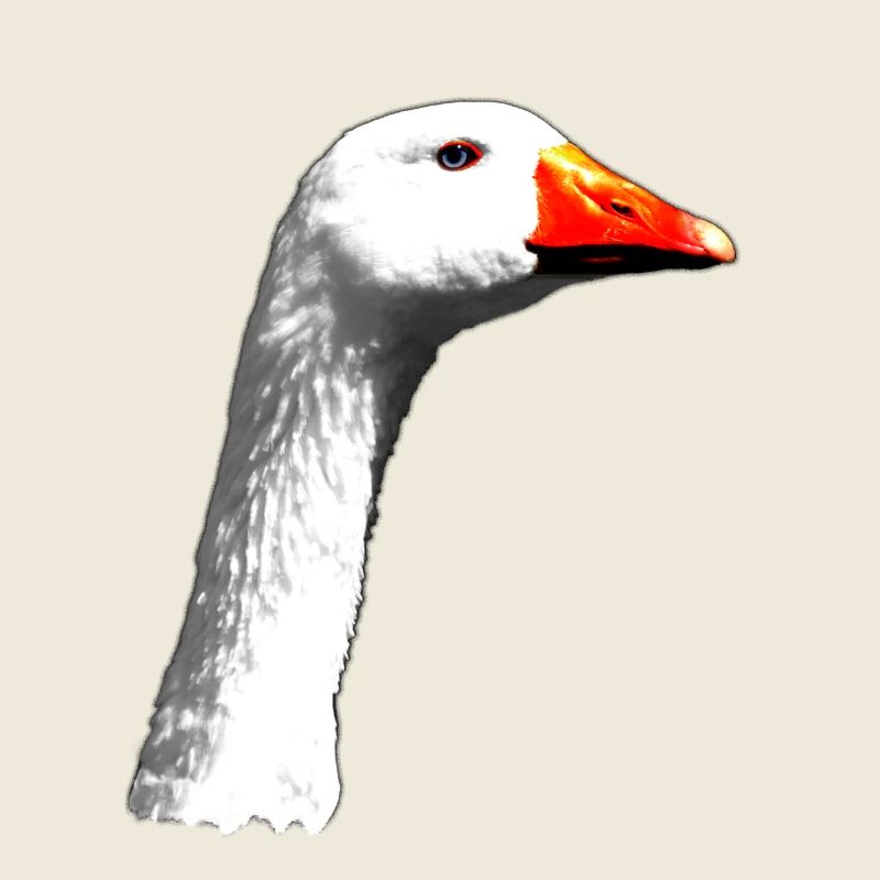 Gans