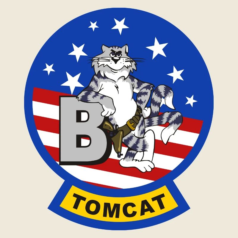 Tomcat F-14 B
