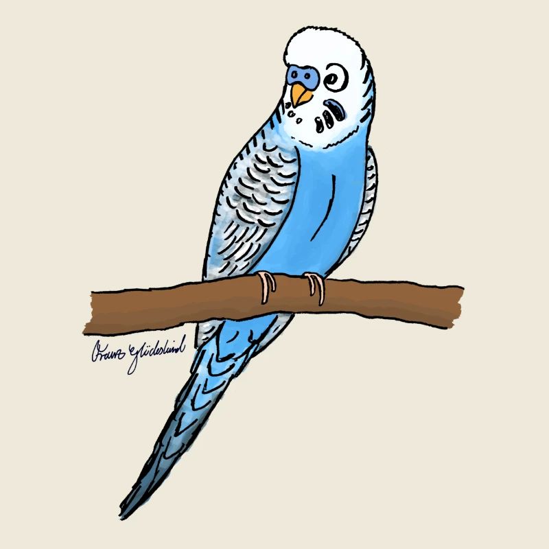 Blauer Wellensittich