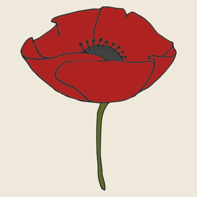 mohnblume