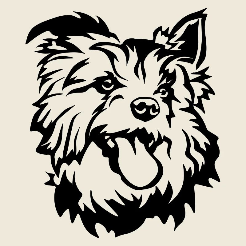 Australian Terrier Head
