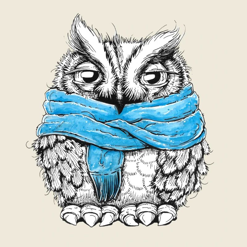 Hibou avec écharpe